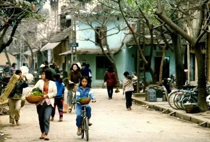 Nội dung: Trong một bóng mát trong mùa hè nóng bỏng, một cột mốc trong lịch sử nhạc